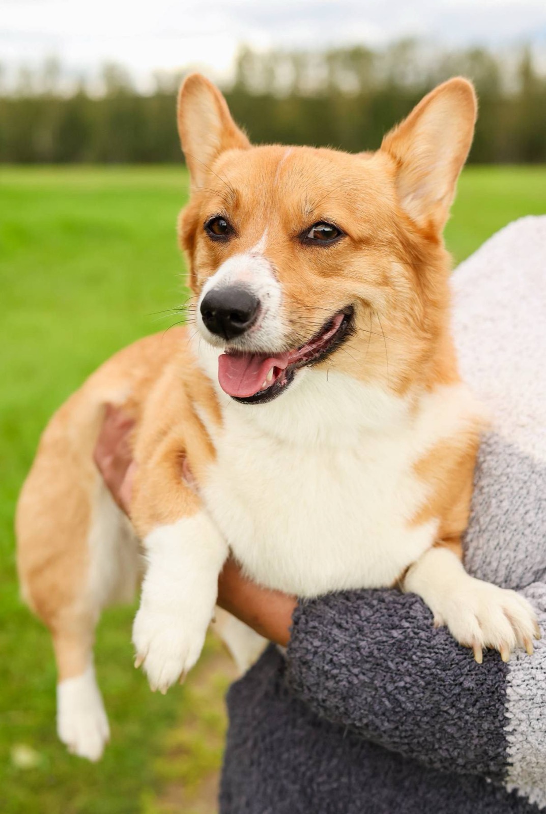 Pets & Animals photography portfolio